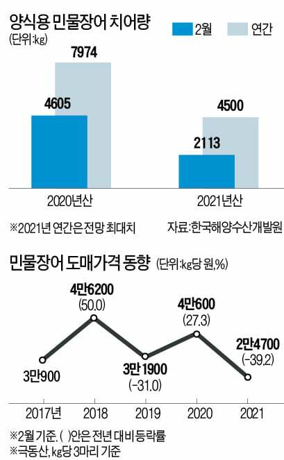 국민장어 이미지