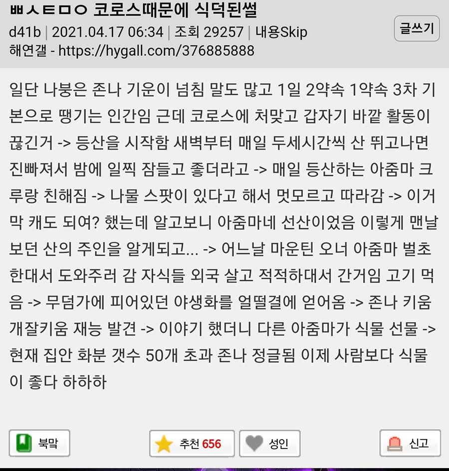 인싸PC방 이미지