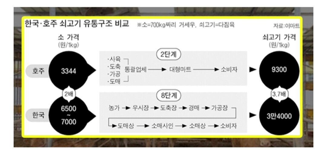 로스트아크 인벤 : 배달팁하니까 생각난 우리나라 유통구조 - 로스트아크 인벤 자유 게시판