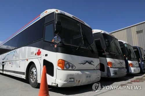 그레이하운드(주) 이미지