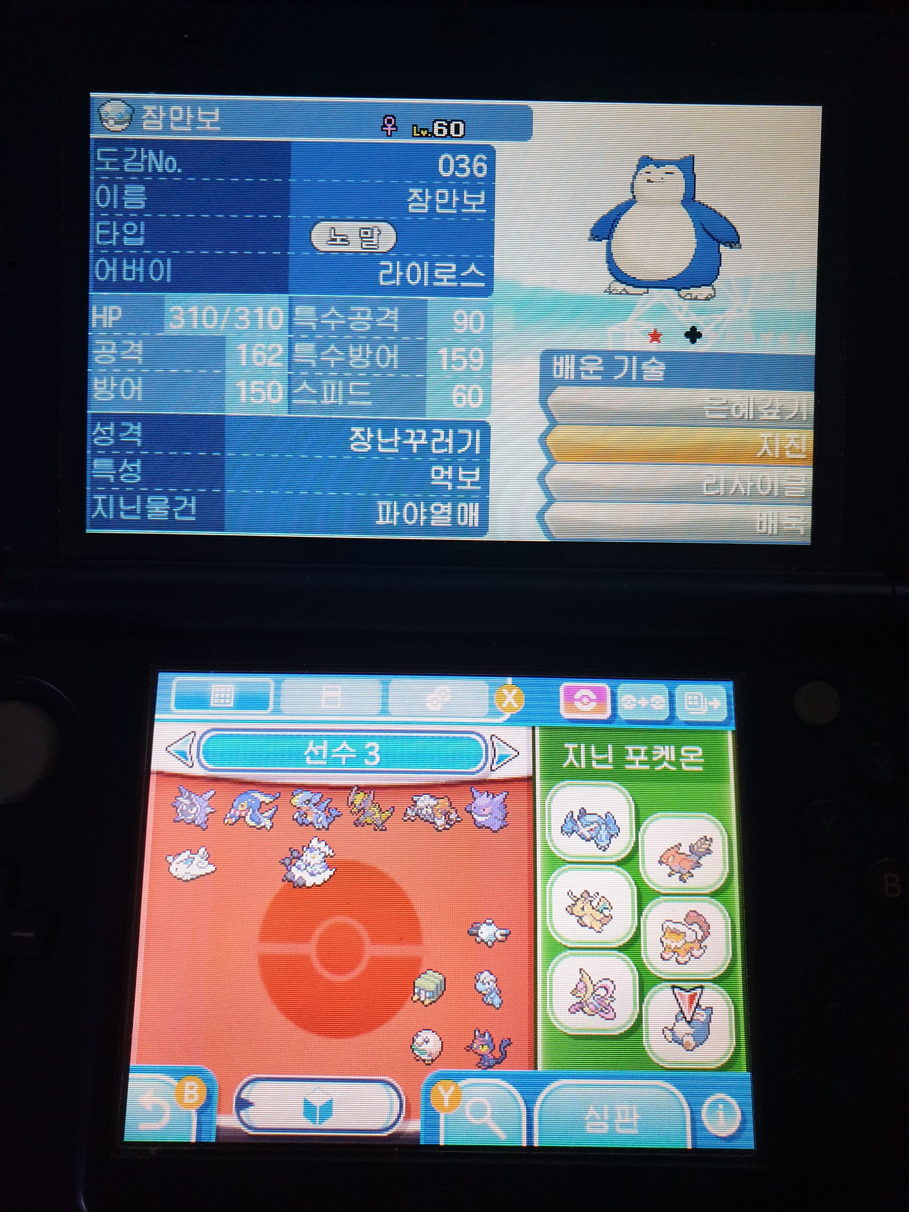 그래도 이로치작 6V작 덕에 냥이 극옵작정돈 | 몬헌 인벤