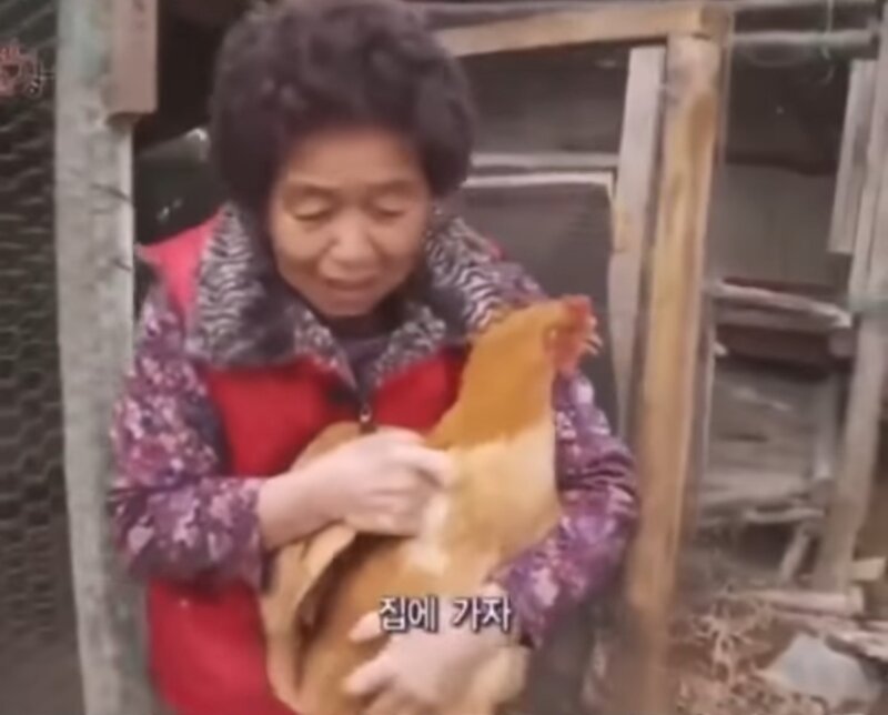 메이플스토리 인벤 : ??: 할머니 집에 가자면서요..ㅠㅠ - 메이플스토리 인벤 자유게시판 (구) ??: 할머니 집에 가자면서요..ㅠㅠ