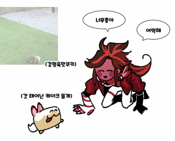 메이플스토리 인벤 : 베로베로맛 쿠키 나오면 쿠킹덤 복귀함 - 메이플스토리 인벤 자유게시판 (구) 베로베로맛 쿠키 나오면 쿠킹덤 복귀함