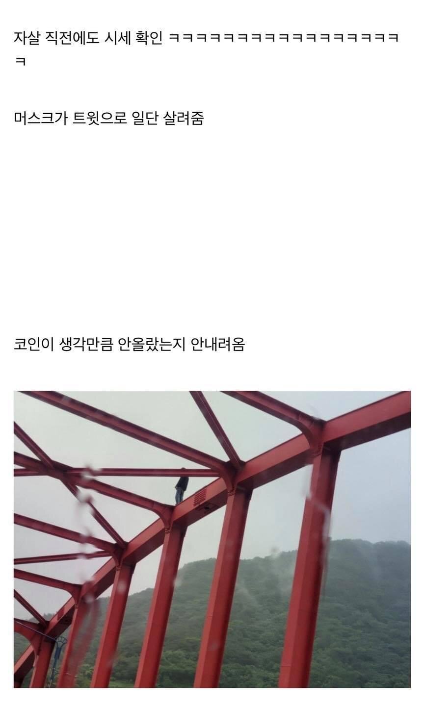 비트코인 자살 소동ㅋㅋ.jpg | 메이플 인벤