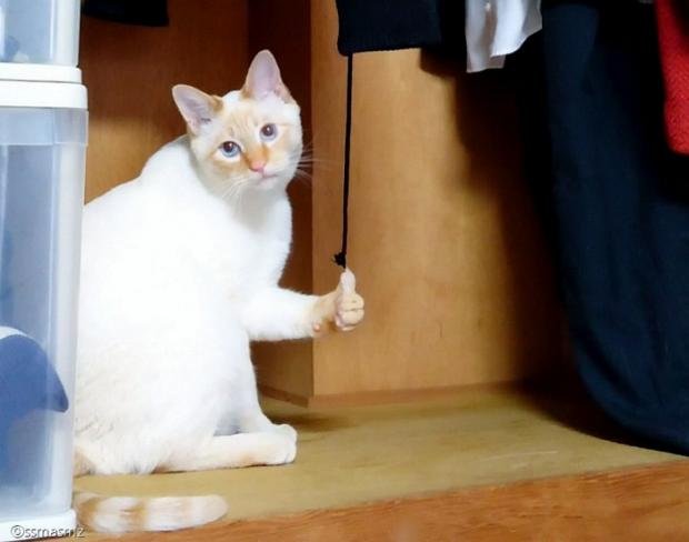 따봉 이미지