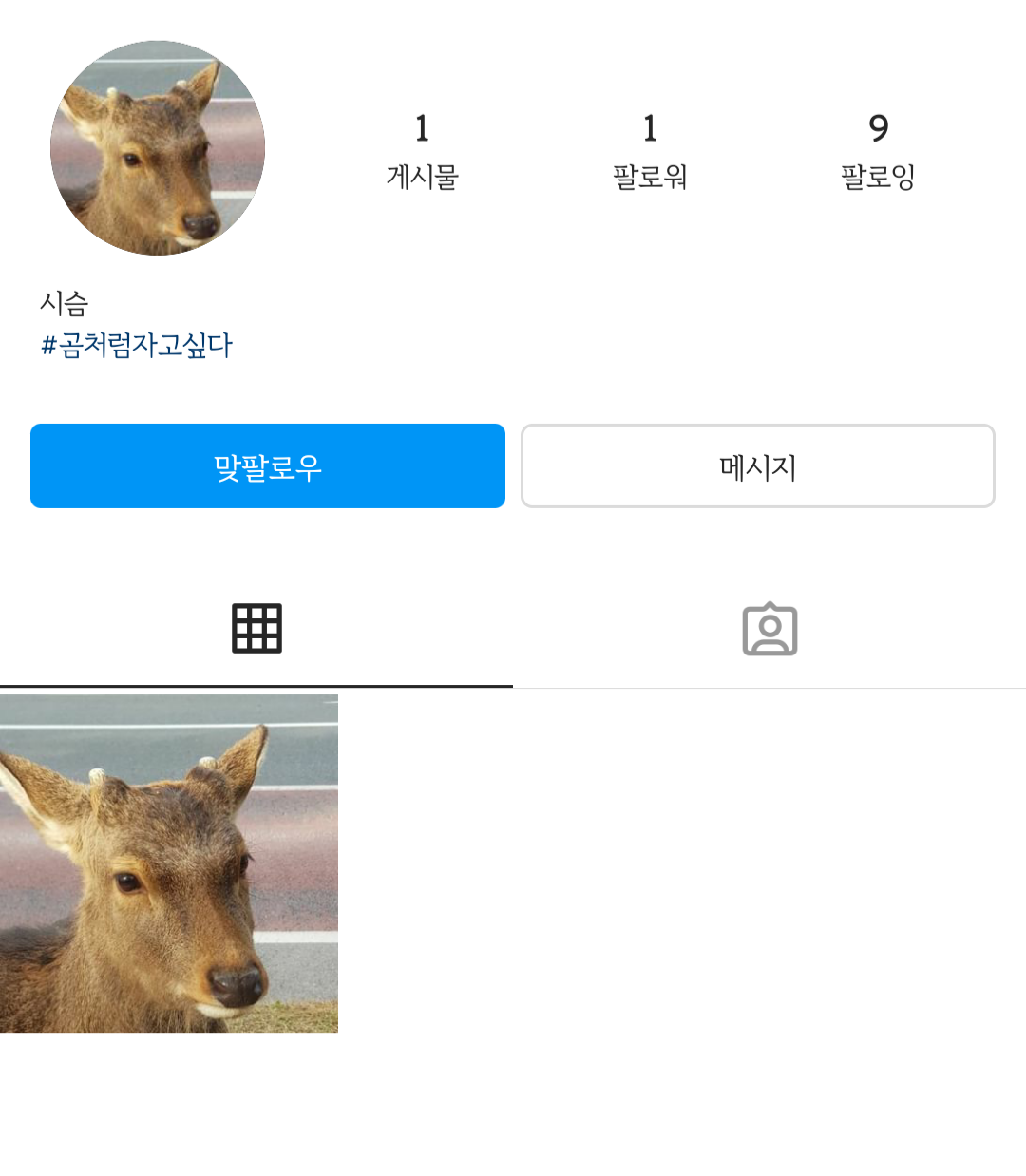 시슴 이미지