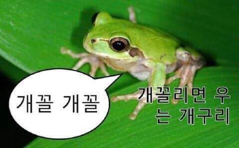 오늘우리집비어 이미지