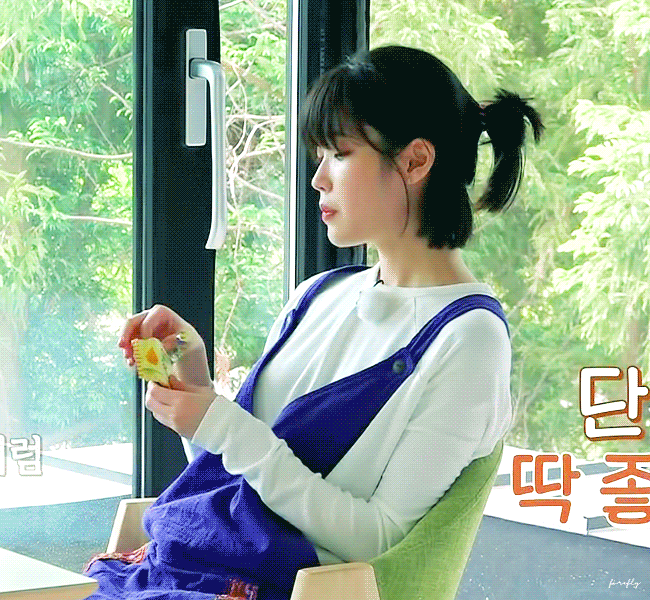 웹진 인벤 : 효리네 민박 아이유 움짤 - 오픈이슈갤러리 효리네 민박  아이유 움짤
