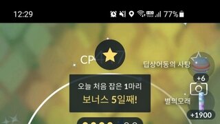 갤러리 프리뷰 이미지