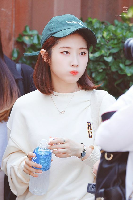 모아 이미지