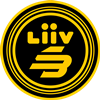 Liiv Sandbox logo