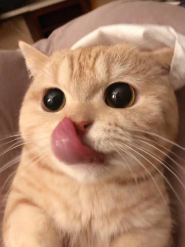 링피시방 이미지
