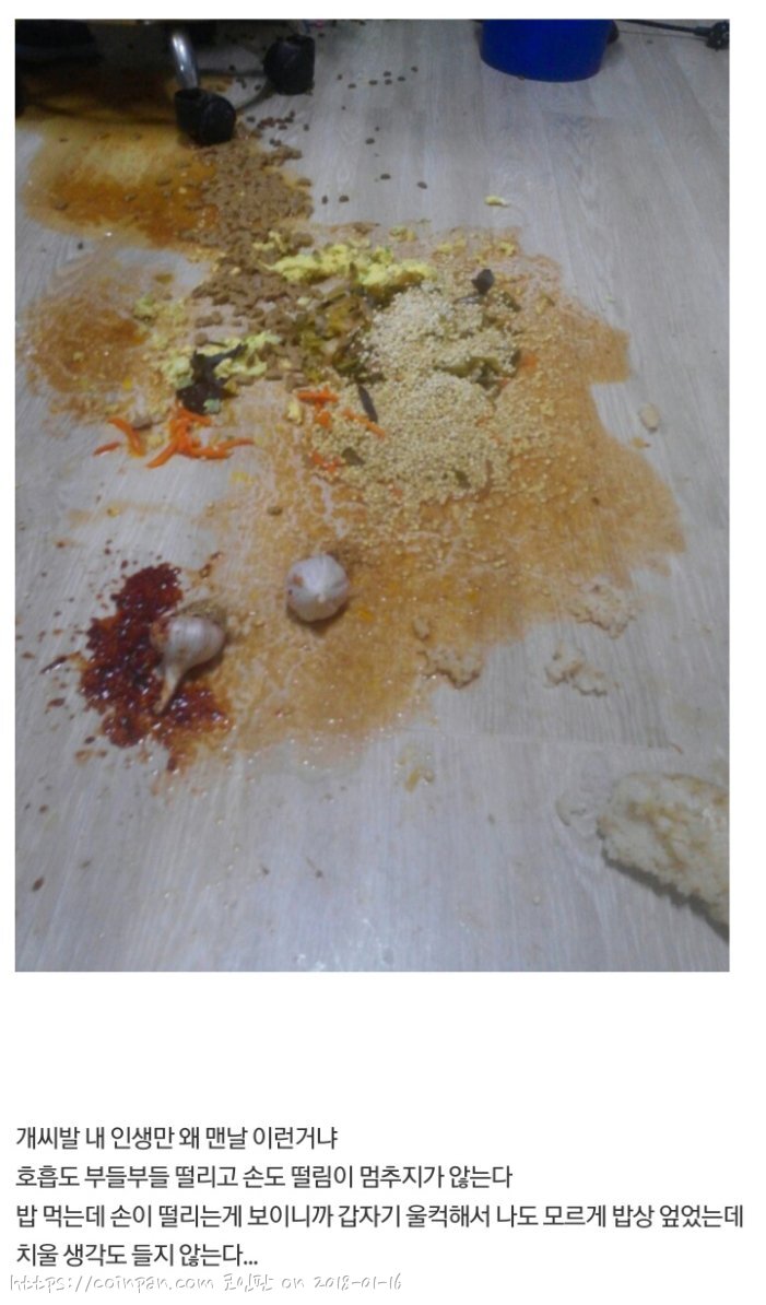 코인 떡락 기념 비트코인갤 옛날짤들 다시 보기 | 로아 인벤