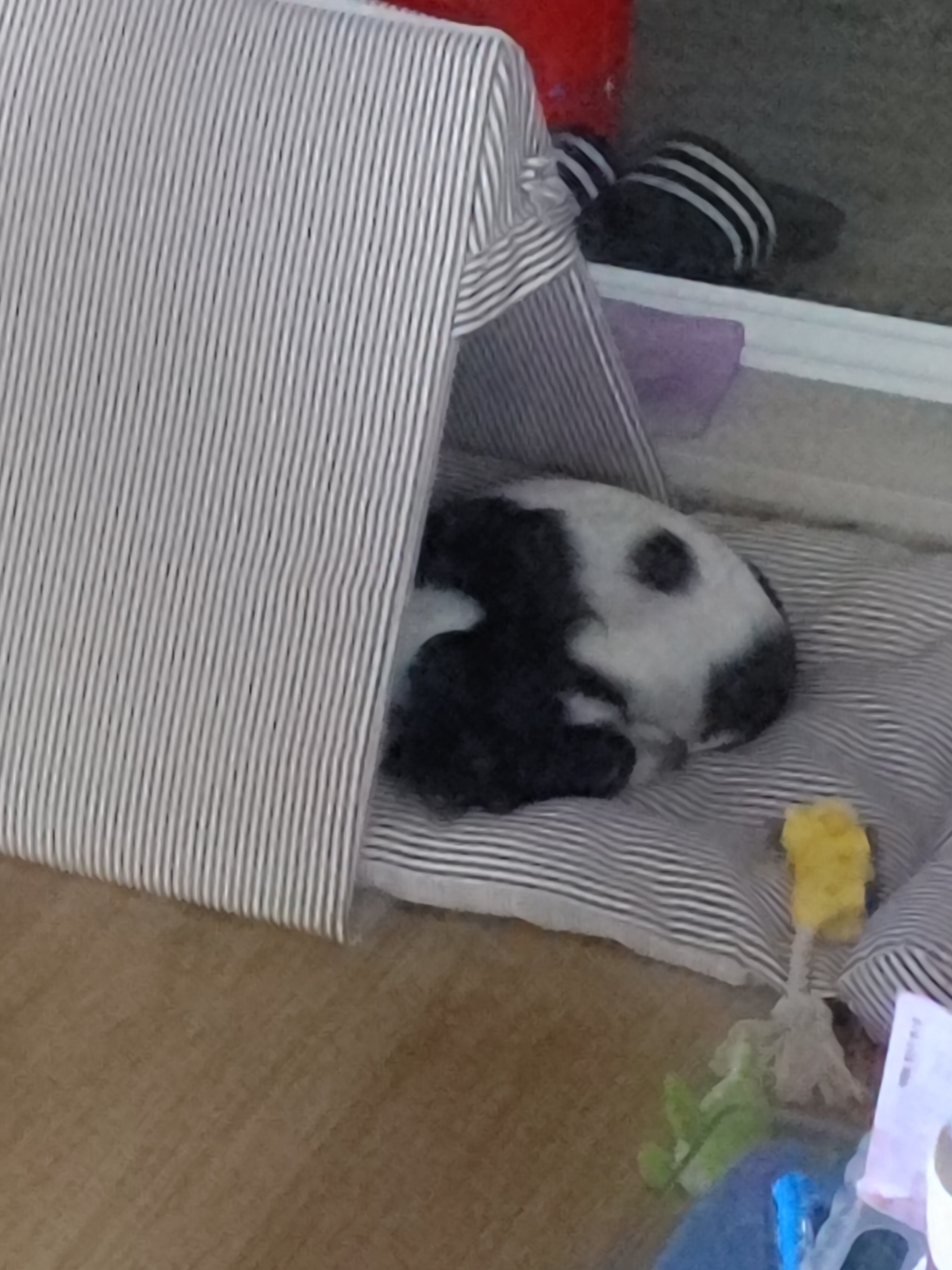 오레오PC방 이미지