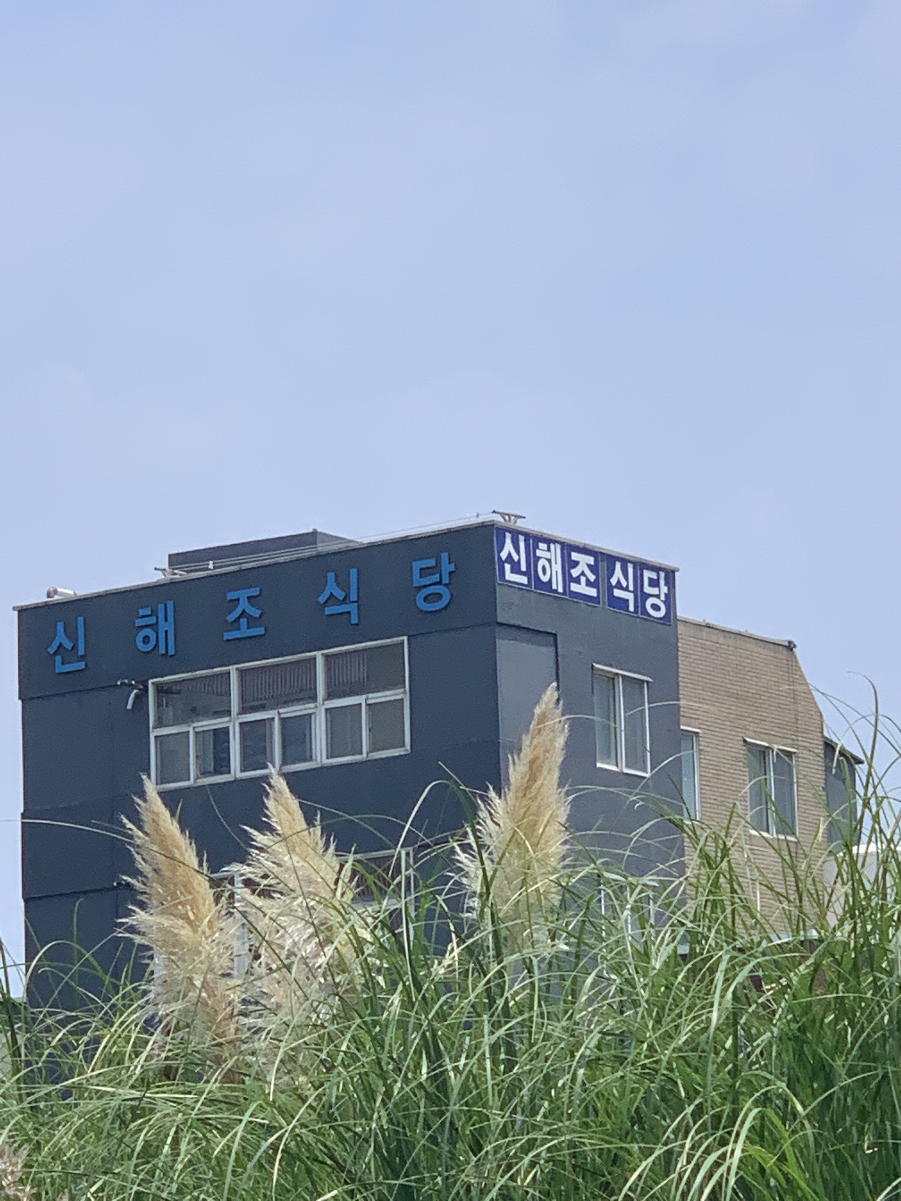 메이플스토리 인벤 : 신해조식당 - 메이플스토리 인벤 자유게시판
