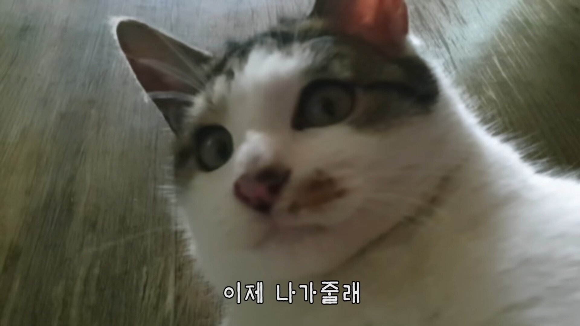 메이플스토리 인벤 : 님들아 들어와보셈 - 메이플스토리 인벤 자유게시판 (구) 님들아 들어와보셈