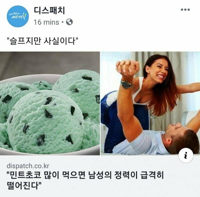 민트스토리 이미지