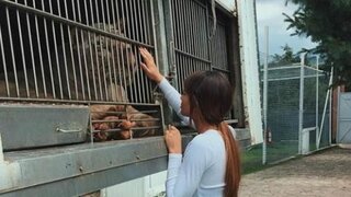 일본 젊은 사람 눈에도 이상한 일본식 일처리