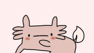 갤러리 프리뷰 이미지