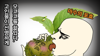 갤러리 프리뷰 이미지