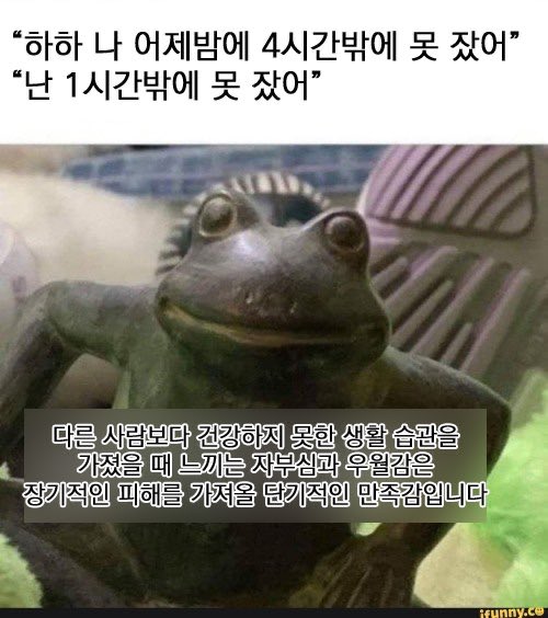 민트스토리 이미지