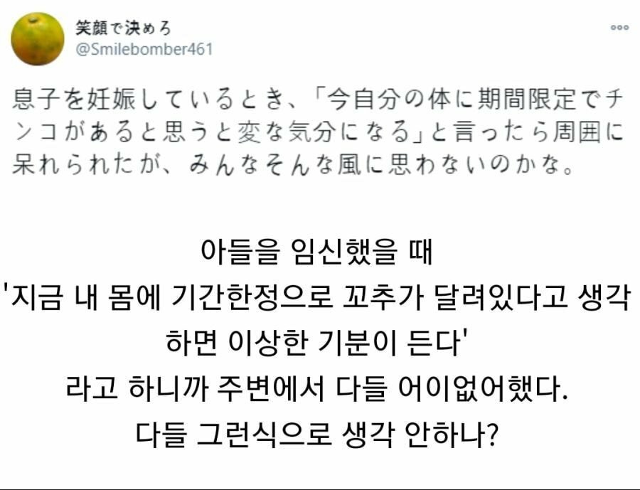 임신한 아이가 남자애란걸 알게되고 든생각(페미아님) | 메이플 인벤