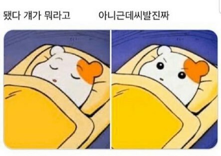 하루당 이미지