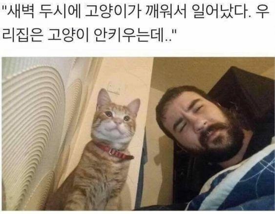 깨움 이미지