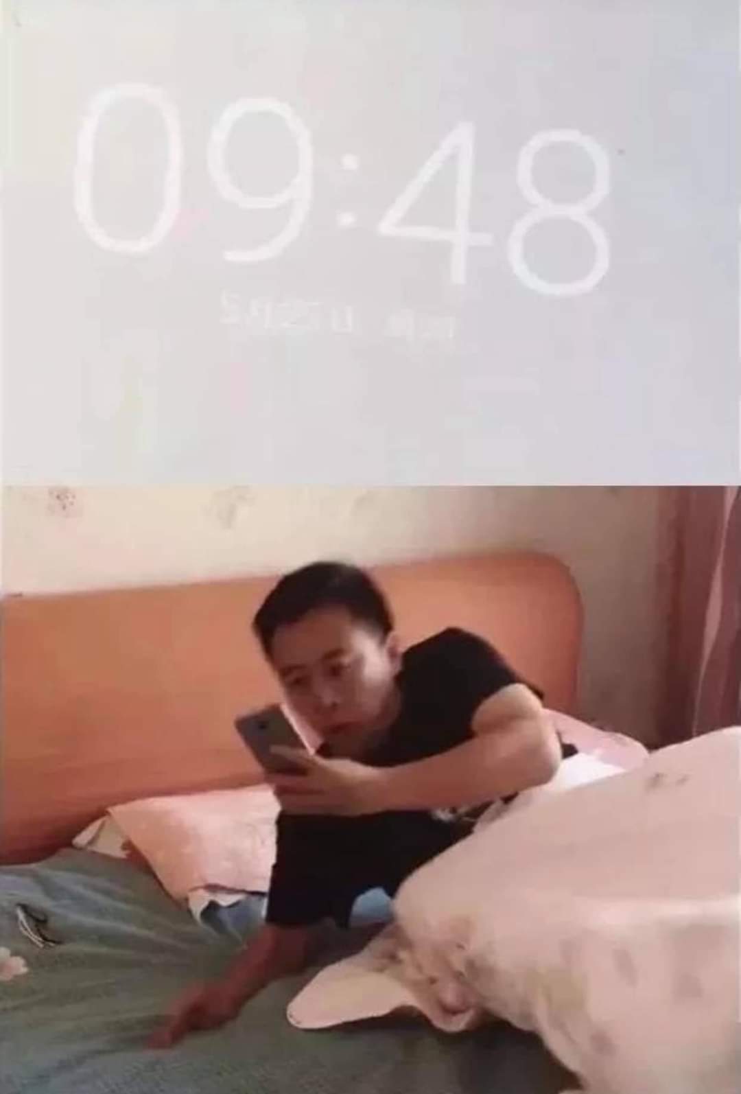 지각 이미지
