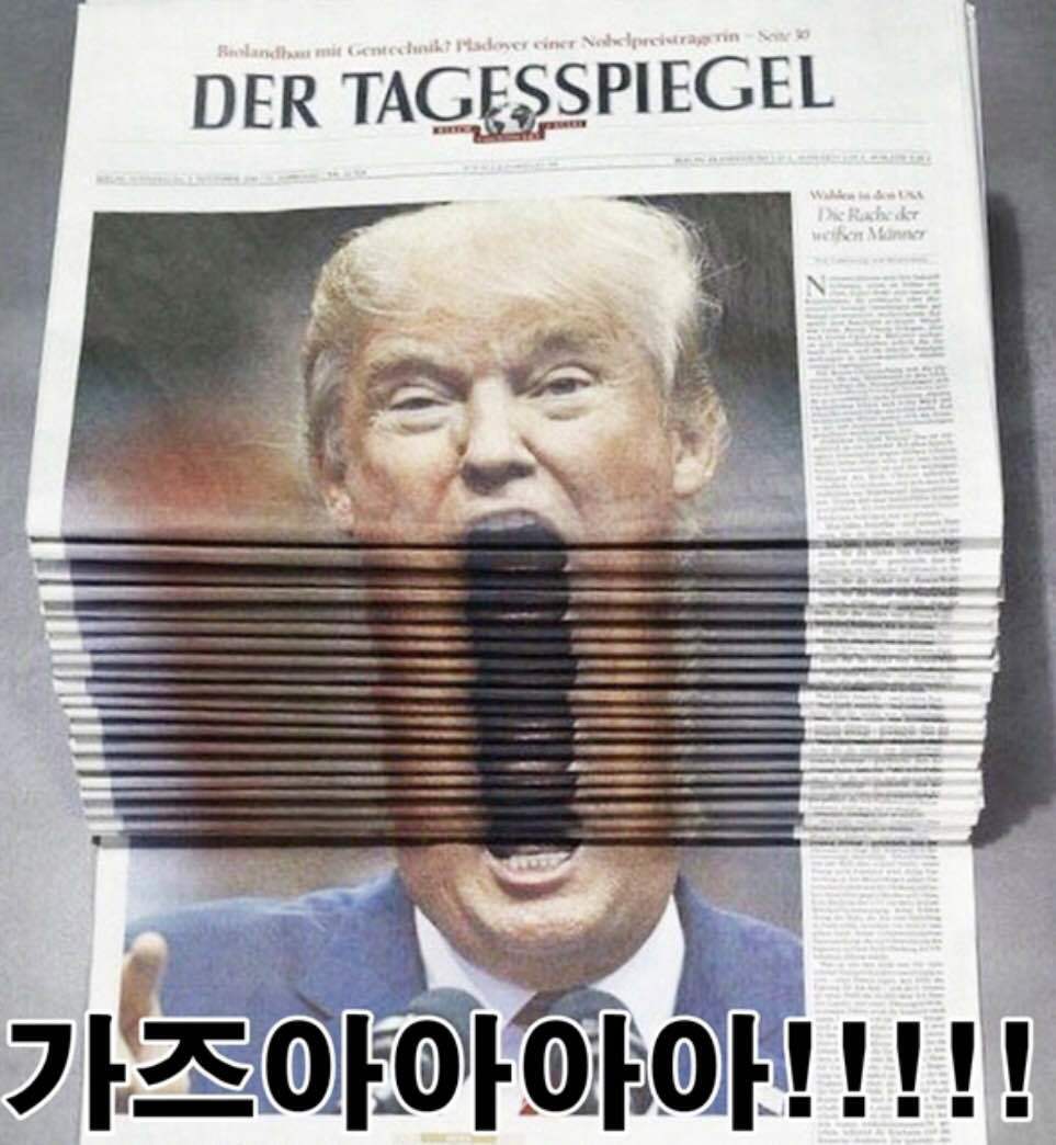 디투알 이미지