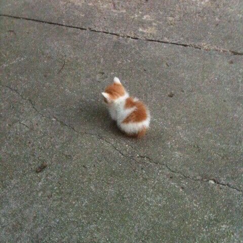 이김 이미지