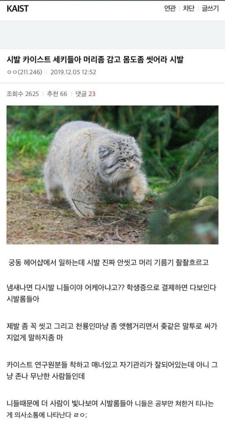 이슈헤어샵 이미지