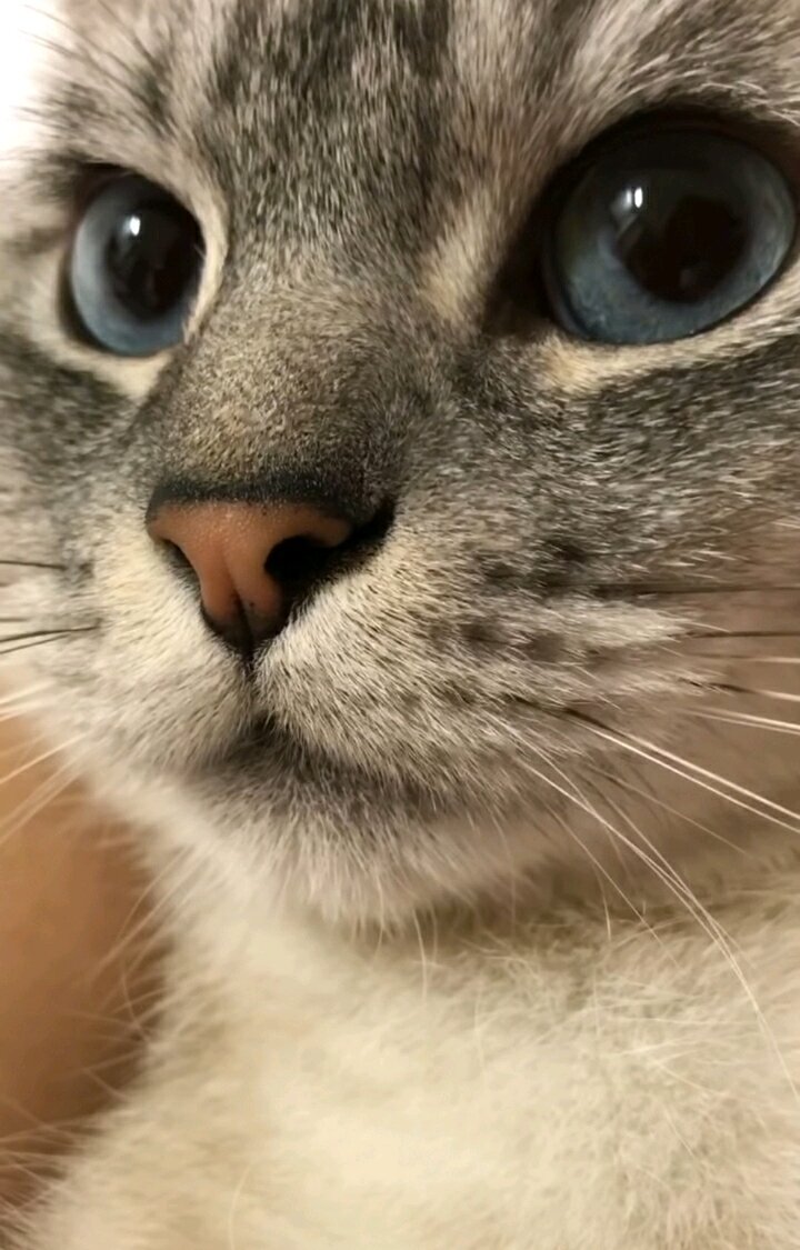 부만(주) 이미지