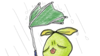 갤러리 프리뷰 이미지