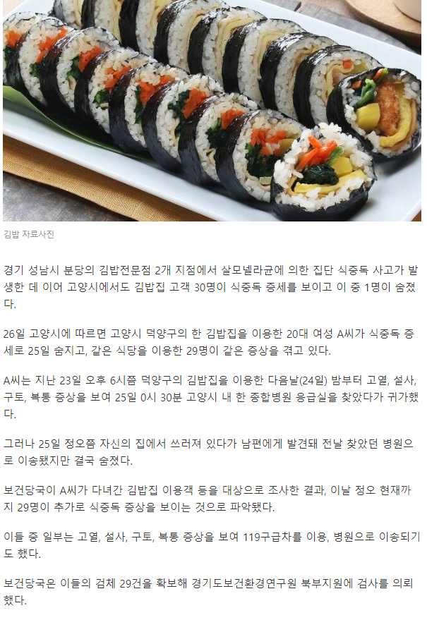 사망 식중독 고양서 김밥집