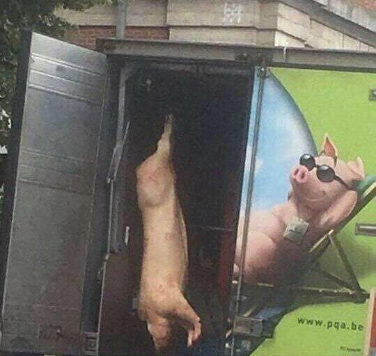 아일랜드PC방 이미지