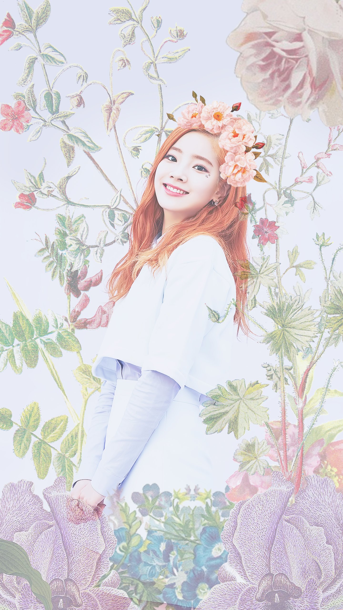 필리스 이미지