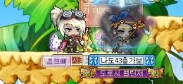 플레타짐 이미지