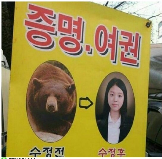수정집 이미지