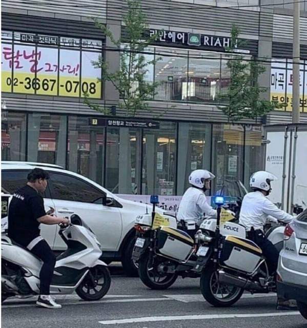 무궁화꽃이피었습니다 이미지