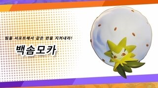 백솜모카 공식 소개 영상