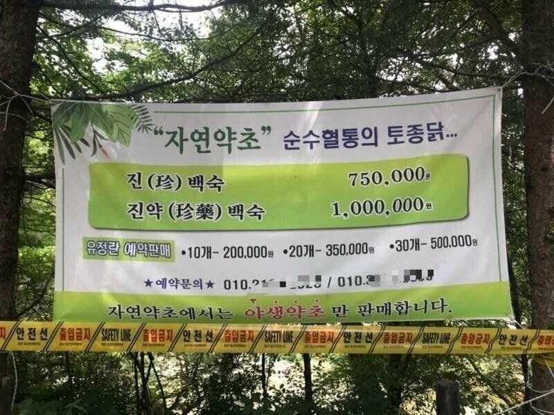 갤러리백숙 이미지