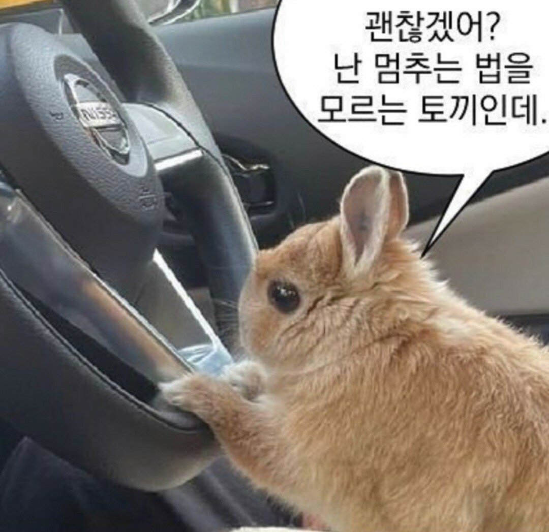 짜오란 이미지