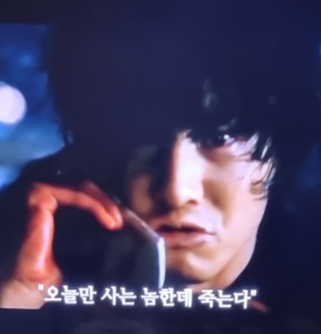 디투알 이미지