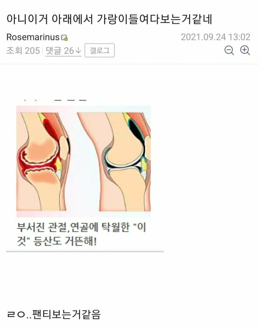 더디씨 이미지