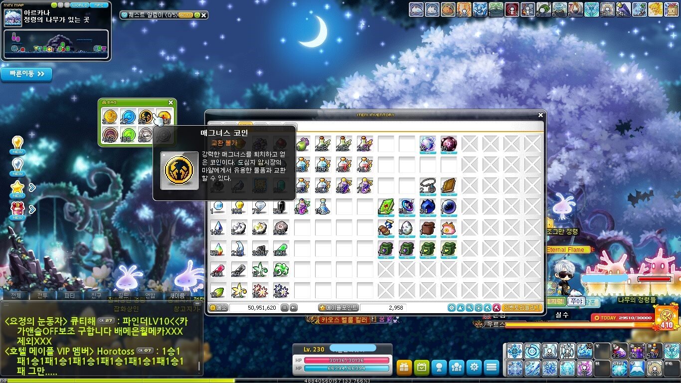 매그너스 코인 특 | 메이플 인벤