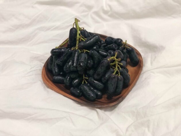 샤인스토리 이미지