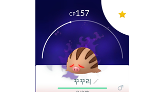 갤러리 프리뷰 이미지