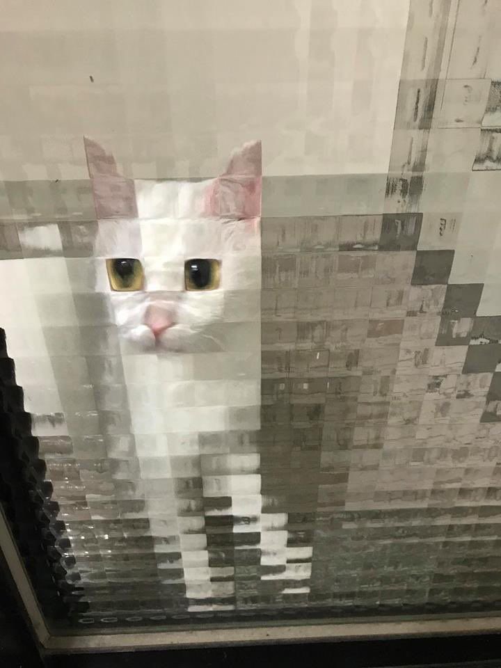 네모PC방 이미지