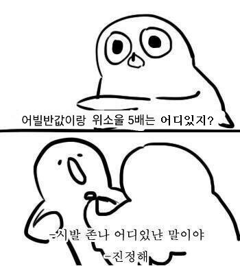 연세복사 이미지